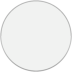Arctic White